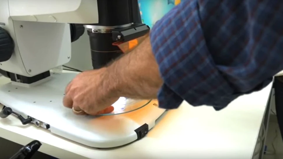 Prima inimă umană vascularizată, realizată cu ajutorul unei imprimante 3D