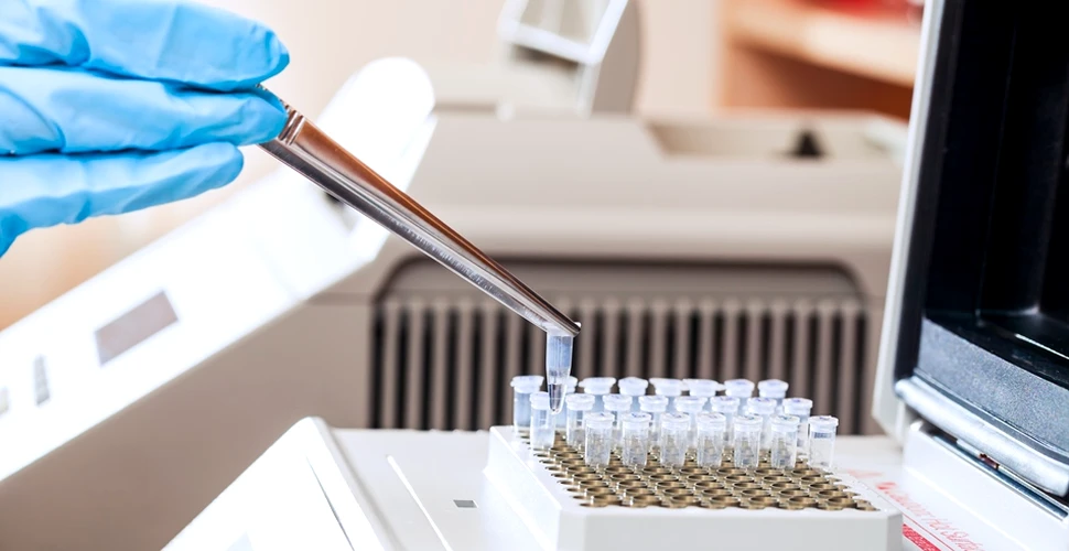 Spermatozoizi umani viabili, creaţi in vitro de o echipă de cercetători francezi