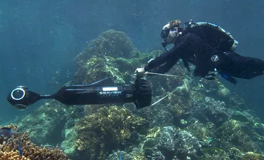 „Google Seaview”: o fereastră unică spre lumea subacvatică (VIDEO)