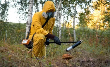 Ciupercile sălbatice din Germania încă mai prezintă urme ale contaminării de la Cernobîl