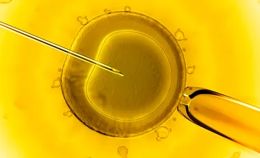 Premieră în ştiinţă: savanţii au reuşit să modifice genetic un embrion uman