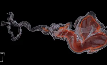 Mamiferele marine folosesc organe genitale extrem de ciudate pentru a copula, dar recent, cercetătorii au observat cât de bizar este un act sexual