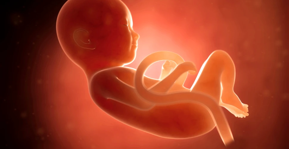 Caz medical şocant: o fetiţă s-a născut „gravidă” cu gemeni