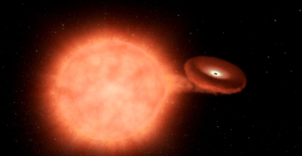 Într-un detaliu fără precedent, astronomii au asistat la primele momente ale morţii unei stele. Observaţiile sunt extrem de utile în înţelegerea expansiunii Universului