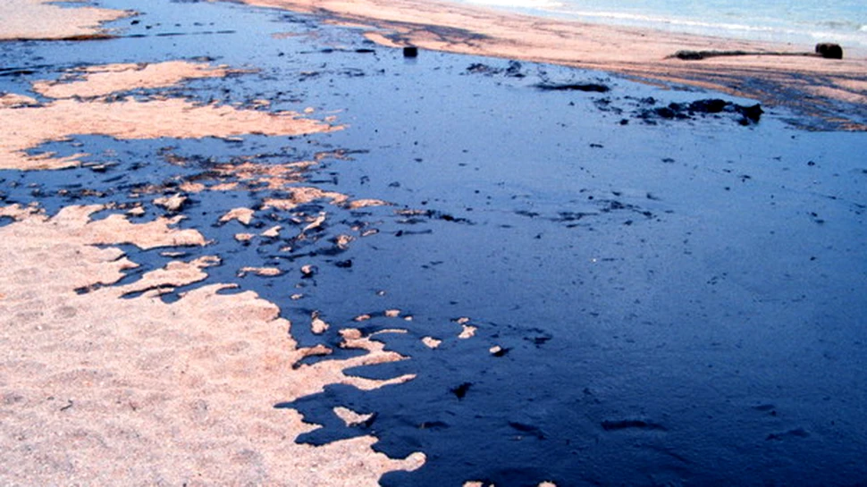 Dezastru ecologic in Marea Neagra