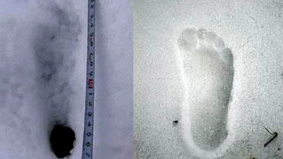 O echipa japoneza a descoperit urmele lui Yeti in Nepal