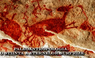 Paleoantropologia – o stiinta a eternelor surprize