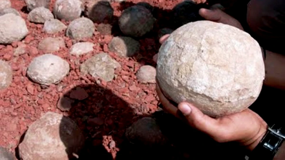 Sute de cuiburi cu oua de dinozauri au fost descoperite in India