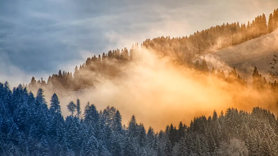 Vremea în următoarele săptămâni. Meteorologii anunță frig și precipitații