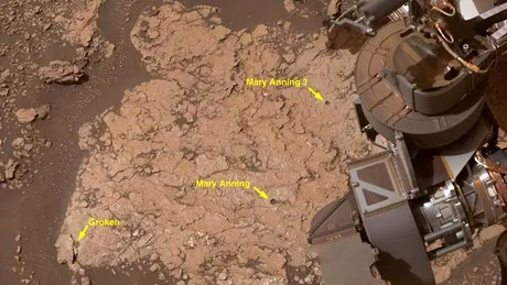 Compuși organici nemaivăzuți au fost detectați, în premieră, pe Marte