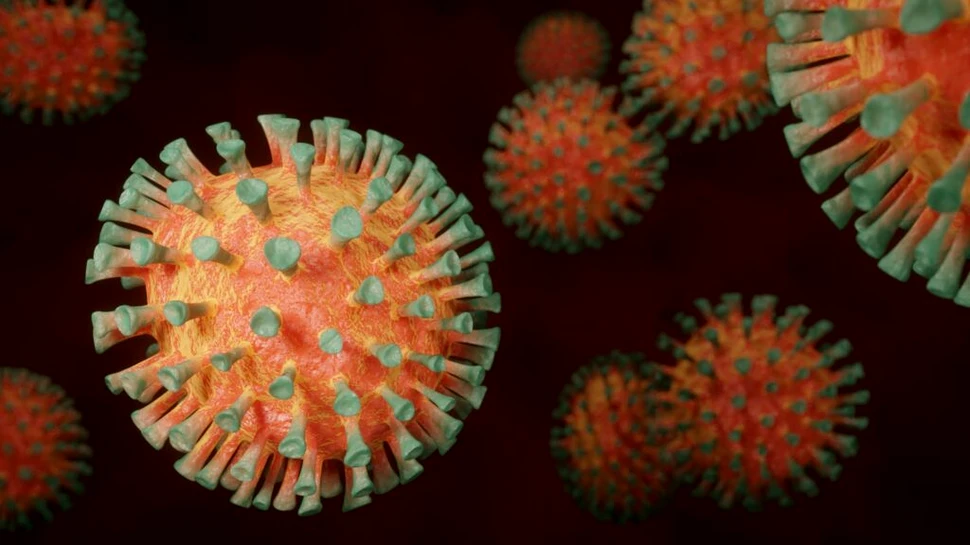 OMS a elaborat o nouă listă de agenți patogeni care ar putea declanșa epidemii sau pandemii