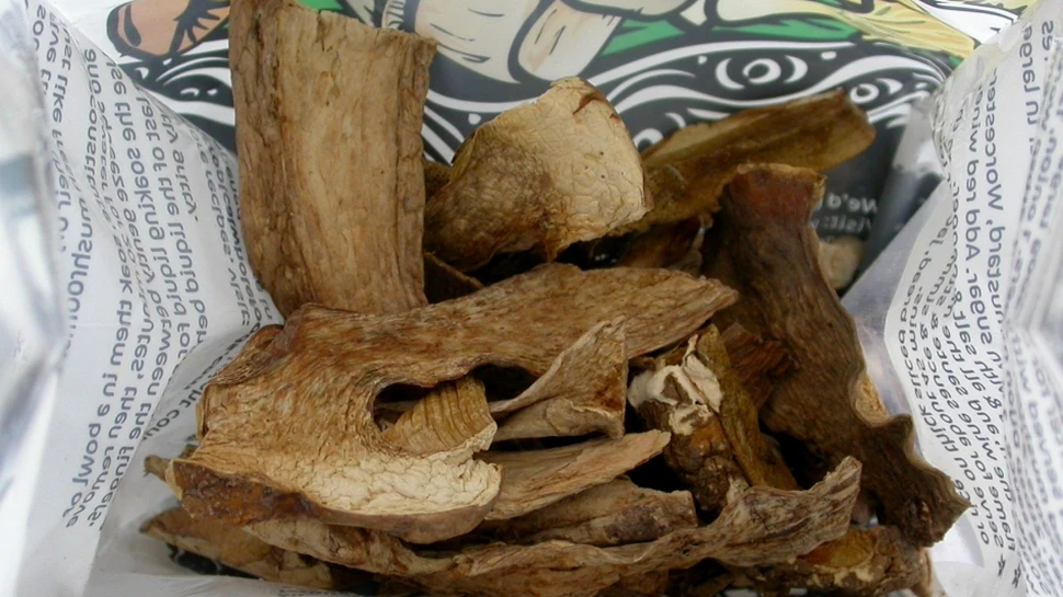Specii necunoscute descoperite de biologi într-o pungă de ciuperci cumpărată de la magazin
