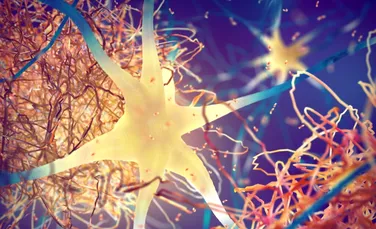 Cancerul ar putea emite semnale care protejează creierul împotriva bolii Alzheimer