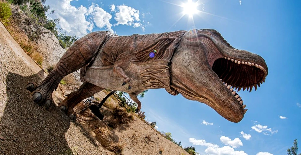 Paleontologii ar fi aflat de ce nu există foarte multe fosile cu dinozauri de dimensiune medie