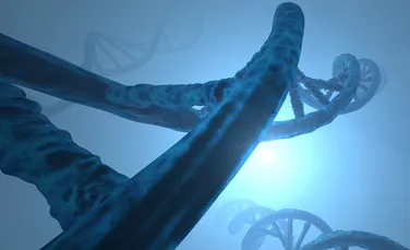 Capetele cromozomilor din celulele canceroase deţin cheia pentru noi tratamente împotriva acestei maladii