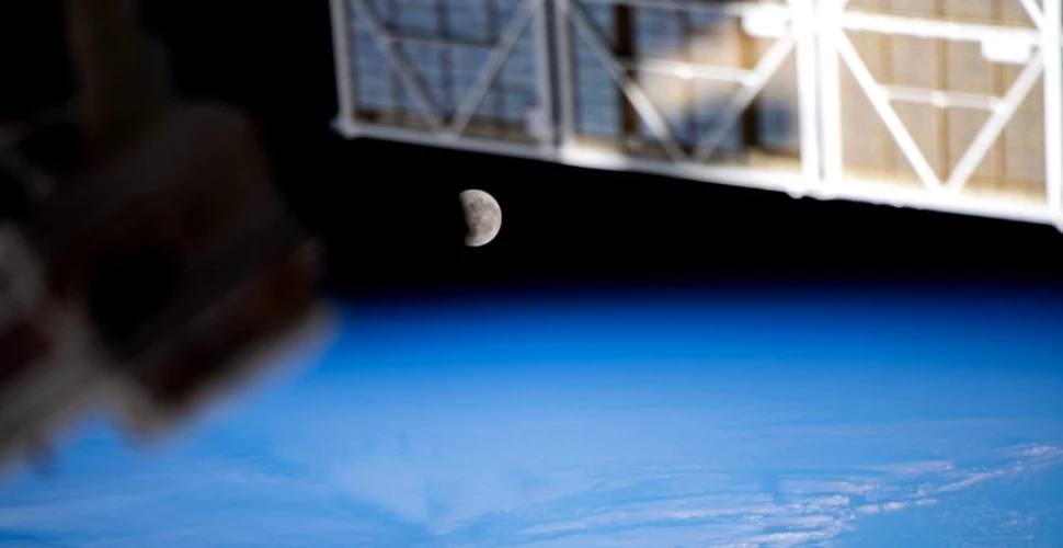 SpaceX va duce astronauți pe Lună „probabil” înainte de anul 2024. Ce a promis recent Elon Musk