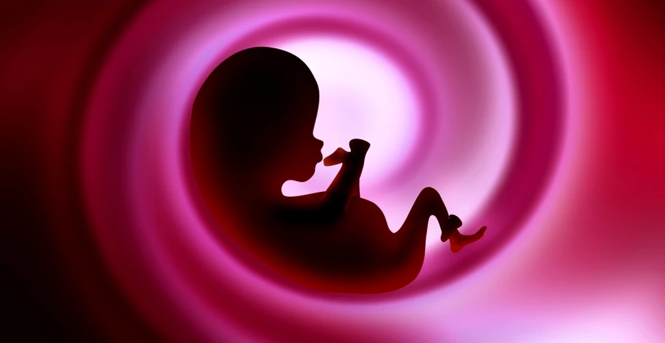 Oamenii de ştiinţă cer oprirea experimentelor de alterare genetică a embrionilor umani