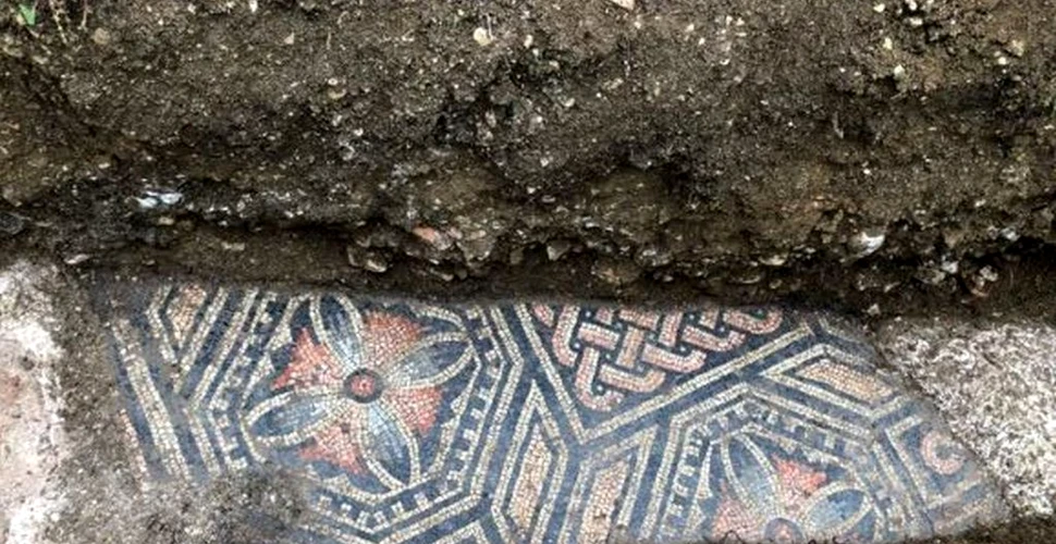 Comoara de sub picioarele lor. Un pavaj din mozaic a fost descoperit sub o vie în nordul Italiei