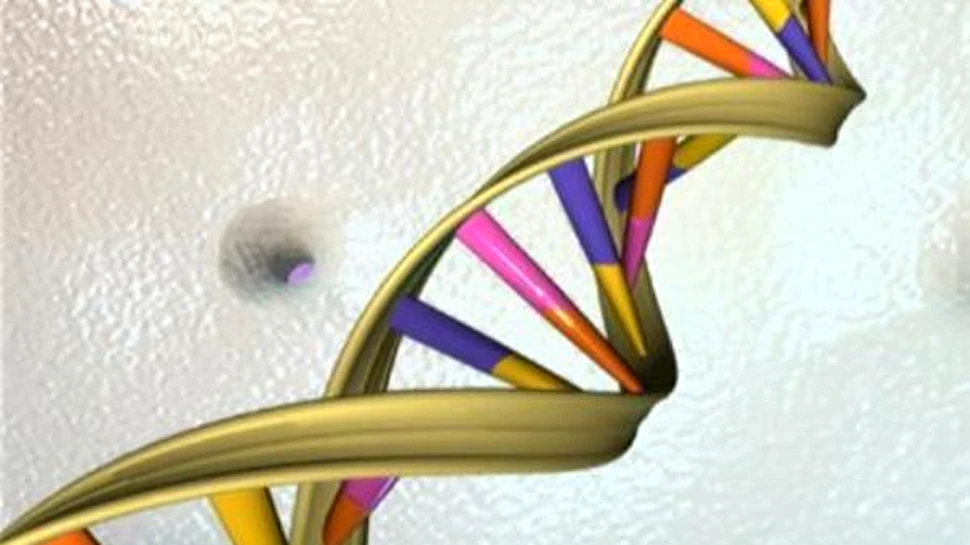 Cercetatorii au descifrat radacinile genetice ale cancerului