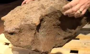 Un meteorit celebru care a căzut pe Terra acum peste 100 de ani nu şi-a găsit cumpărător