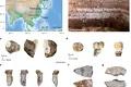 Pentru prima dată, osul de la un denisovan a fost descoperit într-o peșteră din China