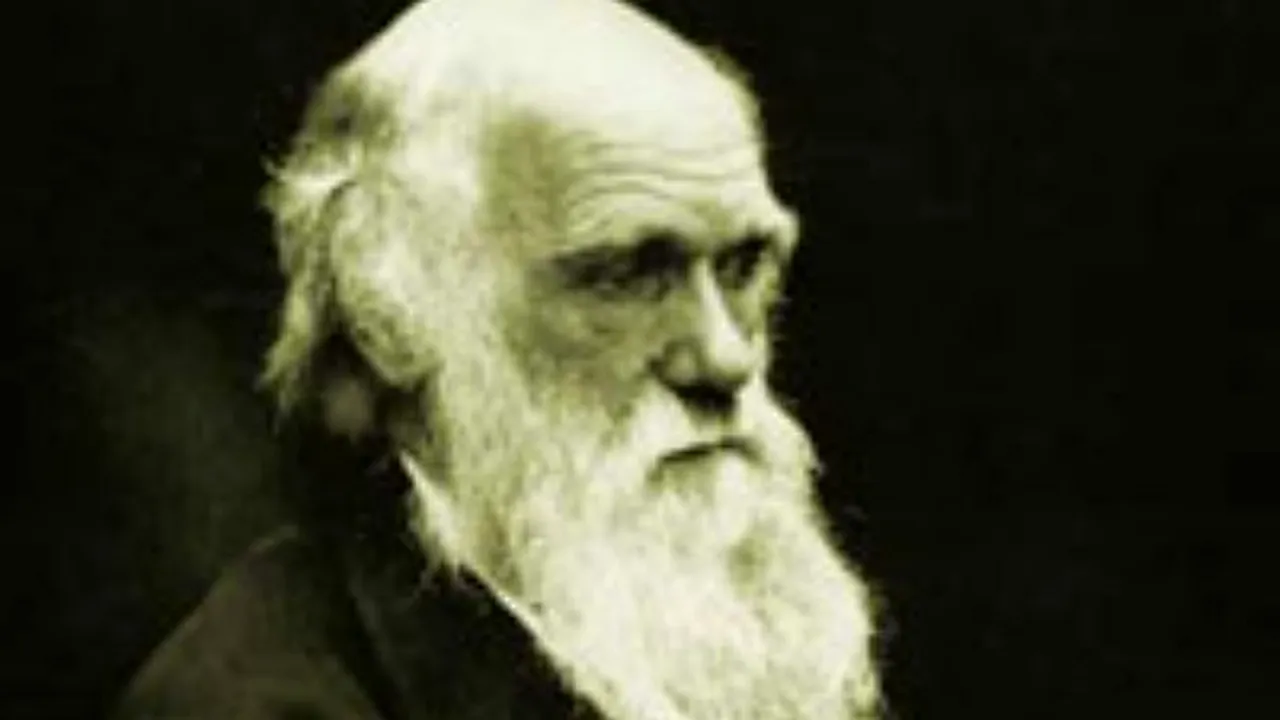 1-darwin-1 