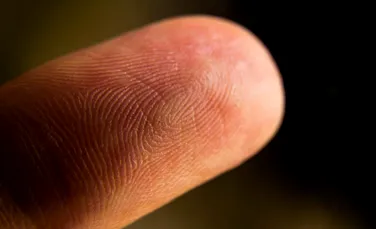 Sensibilitatea din vârfurile degetelor noastre este mult mai vastă decât ne-am fi imaginat
