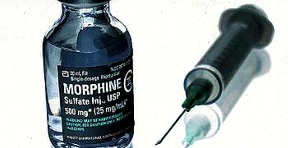 Un nou medicament, de opt ori mai puternic decat morfina