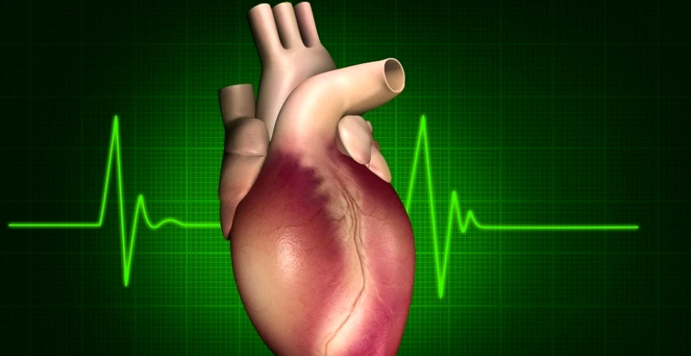 Un test simplu ar putea prezice apariţia infarctului
