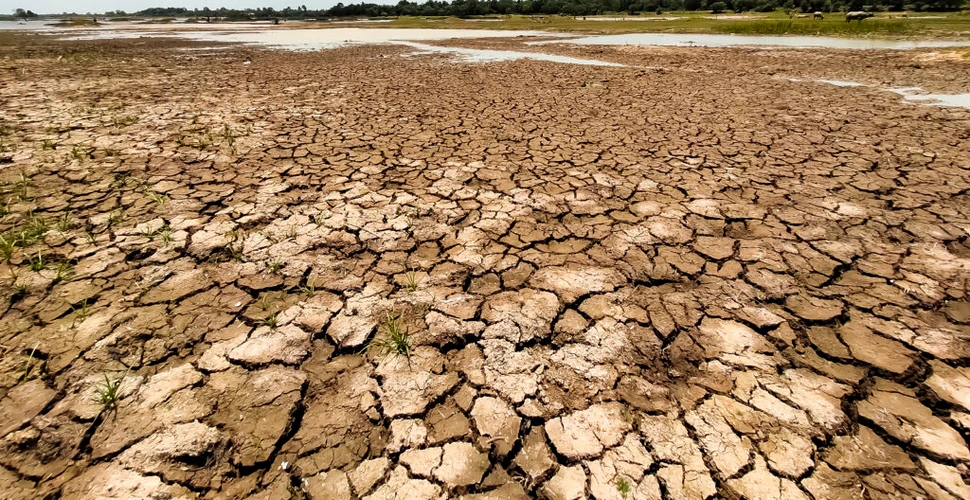 Câți dintre români se simt afectați de efectele schimbărilor climatice?