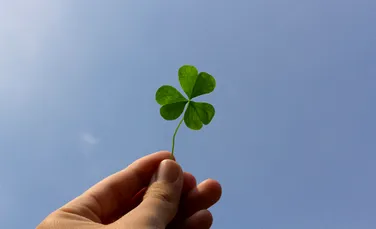 De ce se spune că trifoiul cu patru foi aduce noroc? O istorie a rarității, simbolului și atenției