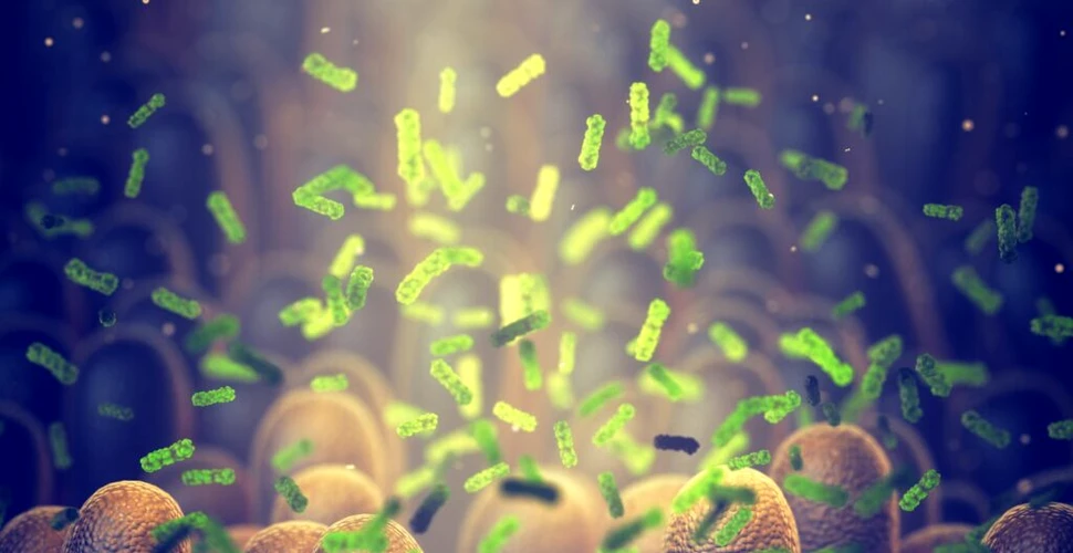 A fost găsită bacteria intestinală care ar putea opri dependența de mâncare