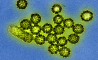 Două tulpini de virusuri gripale ar fi dispărut din circulație. Ce spun experții despre fenomen