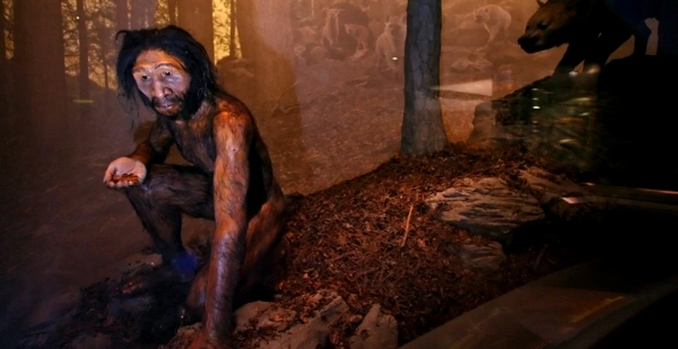 Strămoşii oamenilor navigau pe mări încă de acum 130.000 de ani