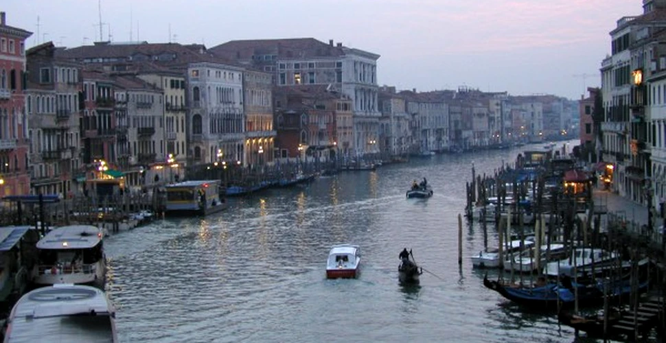 In Venetia se va construi o centrala electrica alimentata cu alge