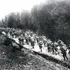 Din cenușa înfrângerii: O mărturie despre miracolul militar românesc din 1917