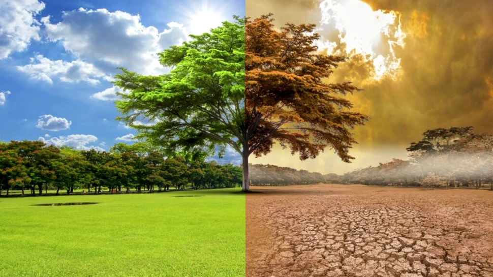 Temperatura medie globală este pe cale să crească cu 3 grade Celsius, avertizează un nou studiu