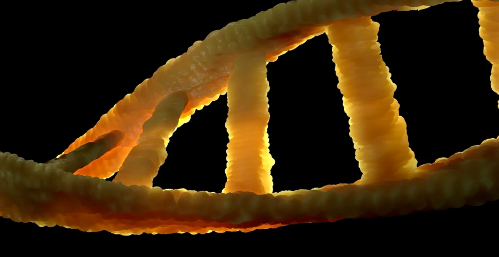 Un algoritm nou este capabil să genereze codul genetic uman