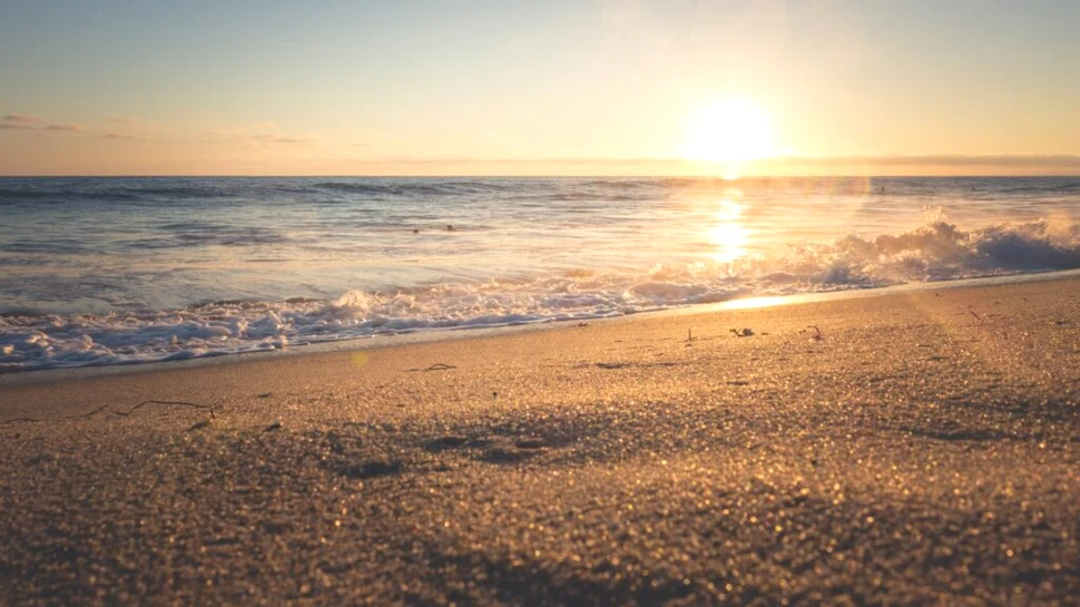 Ce a găsit un copil pe plajă? Îi aparținea unui animal dispărut de milioane de ani