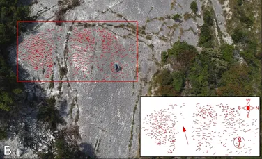 Alpiniști din Italia au descoperit accidental urmele unui „maraton” de acum 80 de milioane de ani