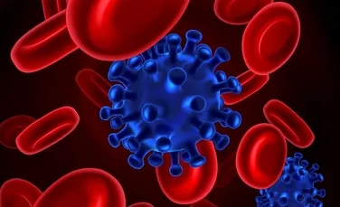Un nou model poate opri epidemiile prin prezicerea virusurilor care pot deveni transmisibile de la om la om