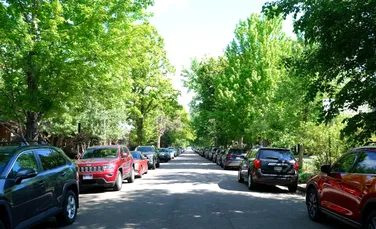 Ce efect au schimbările climatice pe piața imobiliară?