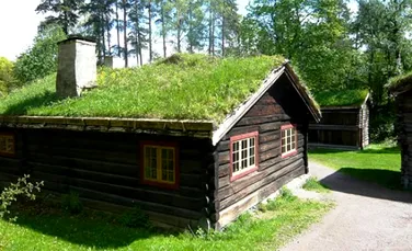 Casele cu acoperisuri vii din Norvegia (FOTO)