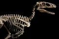 Fosilele dinozaurului care au inspirat fioroșii Velociraptori din Jurassic Park, vândute la licitație