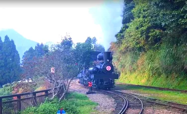 Imagini impresionante cu linia ferată din Munţii Alishan. Are peste 70 de kilometri şi a fost lansată în urmă cu 106 ani