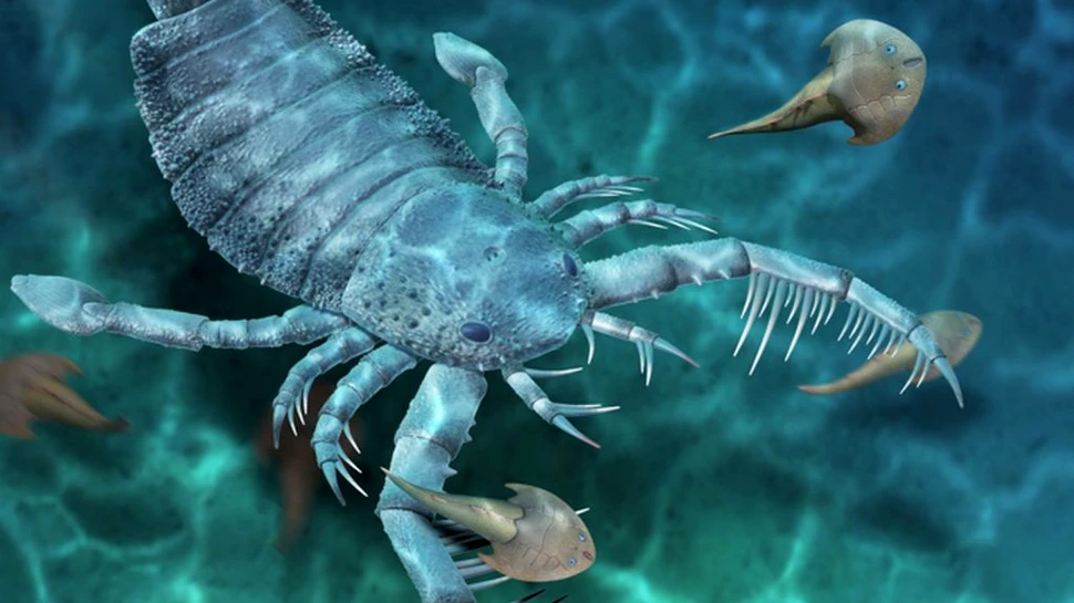 Un scorpion antic, de mărimea unui câine, descoperit în China. Era prădător alfa pe vremea sa