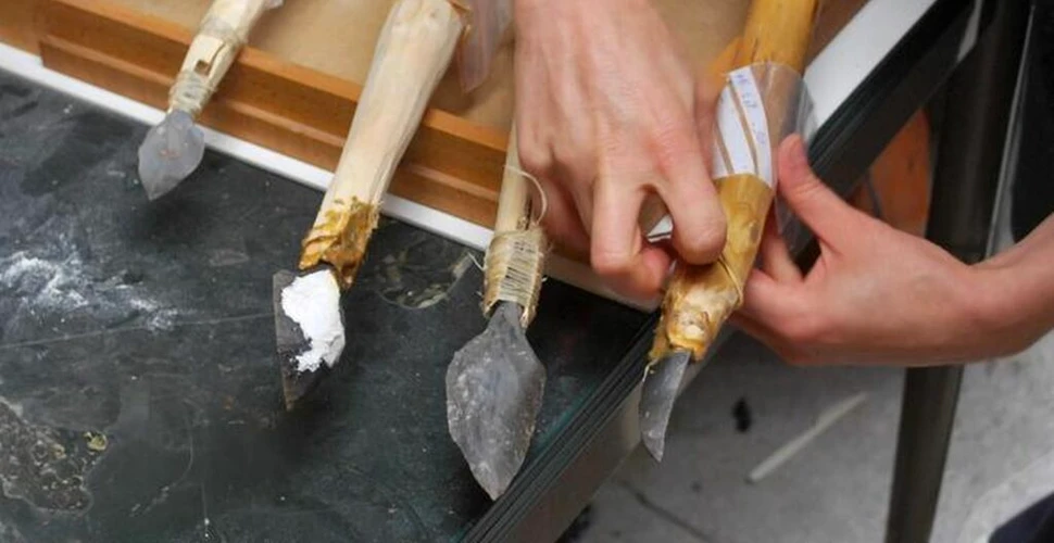 Arme complexe, identificate într-un sit arheologic vechi de 31.000 de ani din Belgia