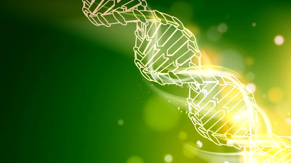 Genomul uman poate conţine până la 20% mai puţine gene, conform unui rezultat recent surprinzător