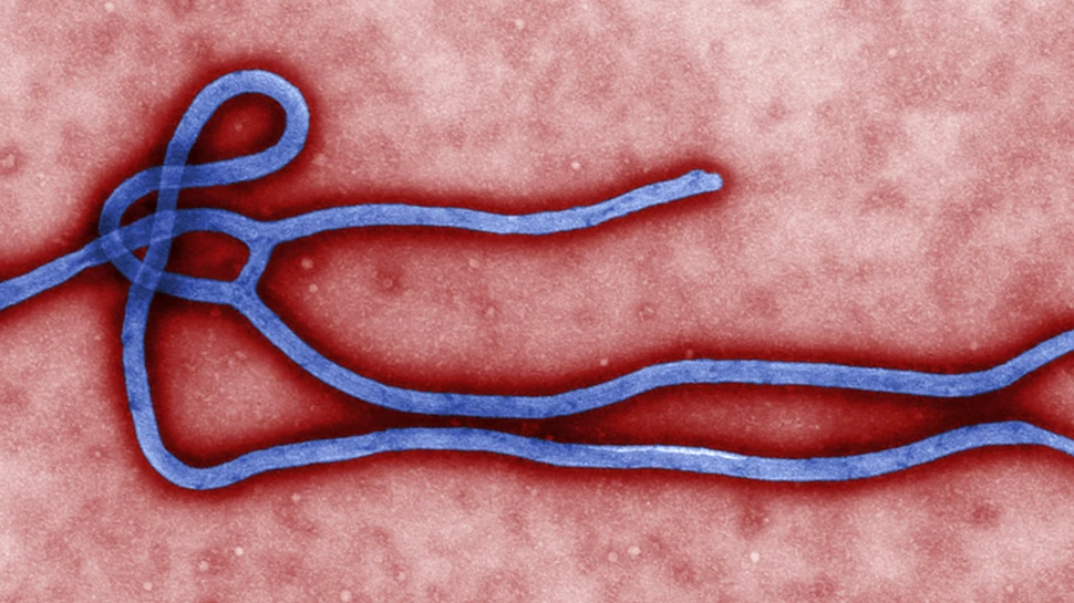 Fotografia zilei – Ebola