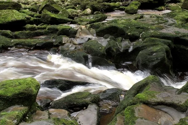 Râul Strid din Anglia, locul unde frumuseţea naturii se îmbină cu legede înfricoşătoare